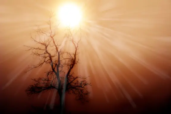 Silhouetted tree against a glowing sun, rays of light radiating through a hazy, warm-toned sky.