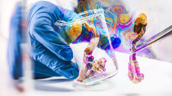 A gloved hand holds a beaker with colorful, swirling liquid and a mushroom specimen being examined with tweezers.