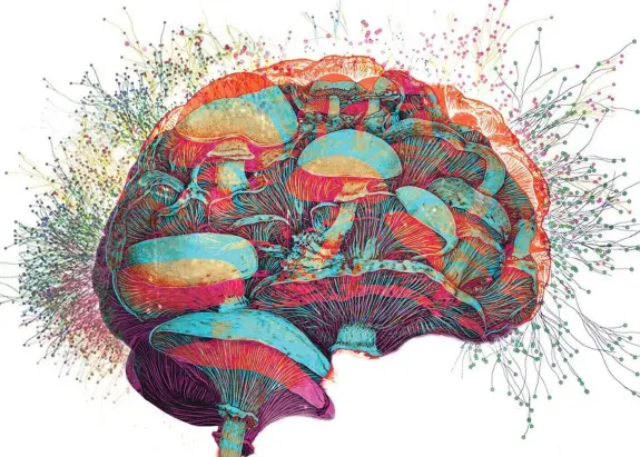 Colorful brain illustration intertwined with vibrant mushrooms and abstract neural connections.