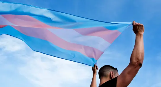 A person holds a transgender pride flag against a bright blue sky, symbolizing support and identity.