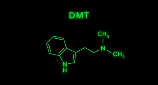 Chemical structure of DMT, displayed in glowing green against a black background.