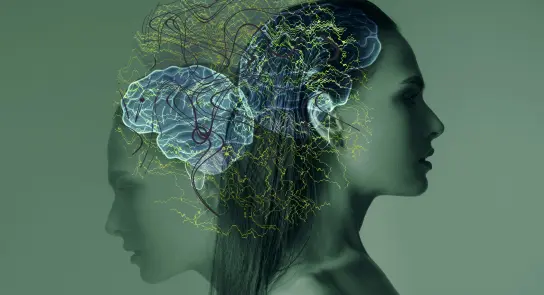 Silhouette of a woman with a digital brain overlay, featuring intricate neural patterns against a green background.