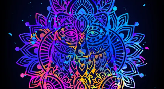 Colorful mandala design featuring a stylized wolf face, surrounded by intricate floral patterns on a dark background.