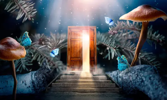 A glowing wooden door stands open on stone steps, surrounded by mushrooms, butterflies, and ethereal light.