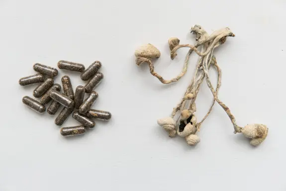 Brown capsules scattered beside dried mushrooms with twisted stems and caps.
