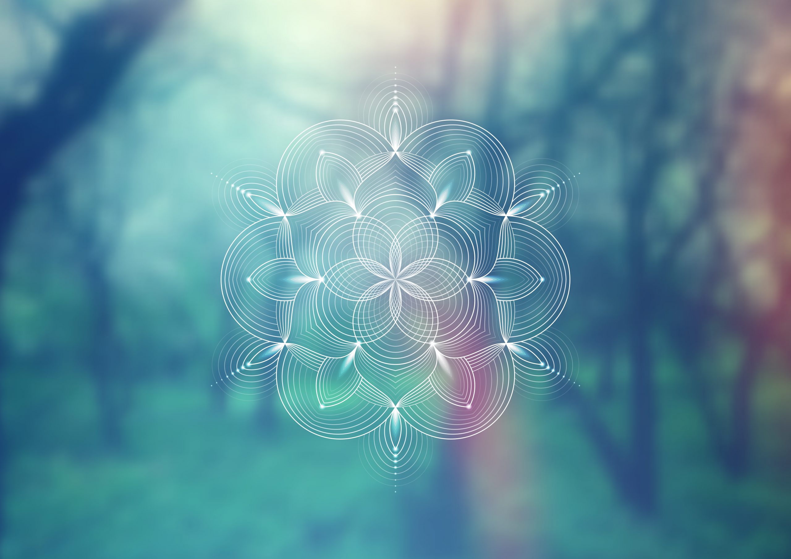 Intricate white mandala design over a blurred, ethereal forest background. Soft colors create a tranquil atmosphere.