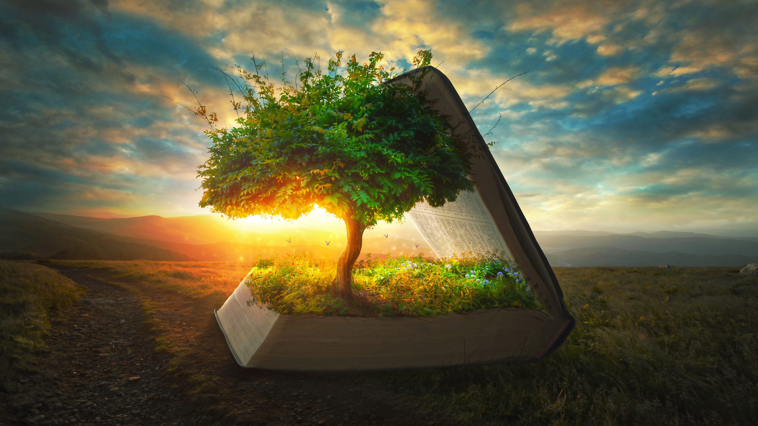 A large book with a tree growing from its pages, illuminated by a sunset against a mountainous backdrop.
