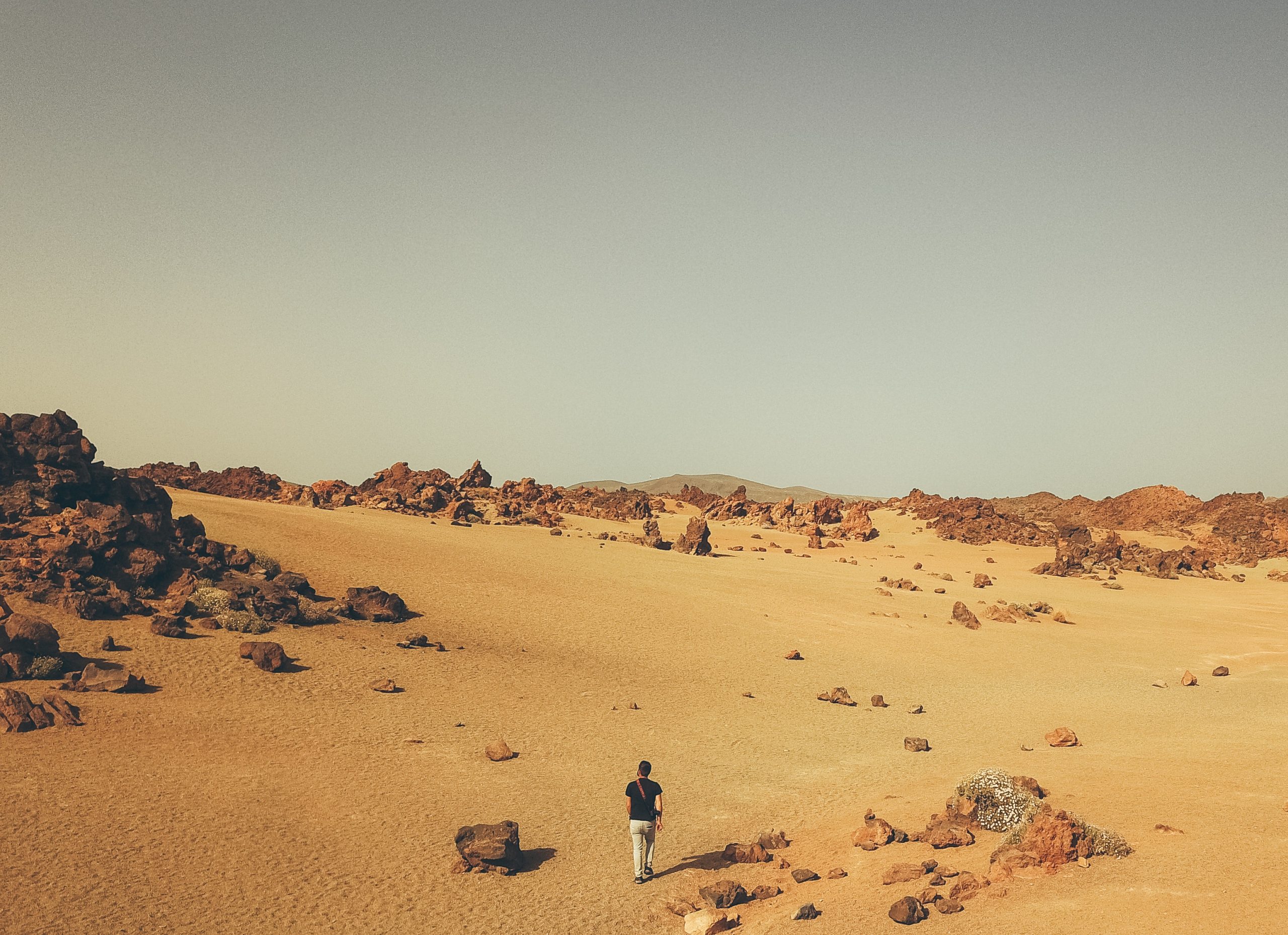 A lone figure walks through a vast desert landscape, surrounded by rocky formations and golden sand under a clear sky.