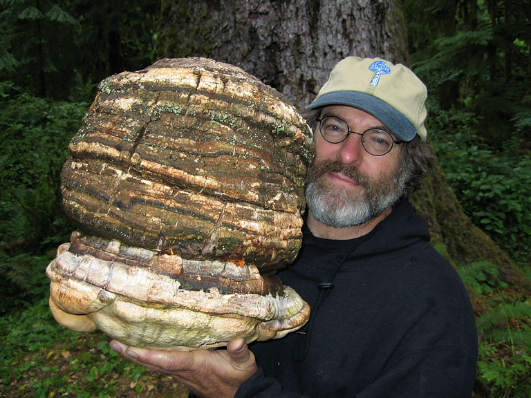 A man in a cap holds a large, textured mushroom against a forest backdrop.
