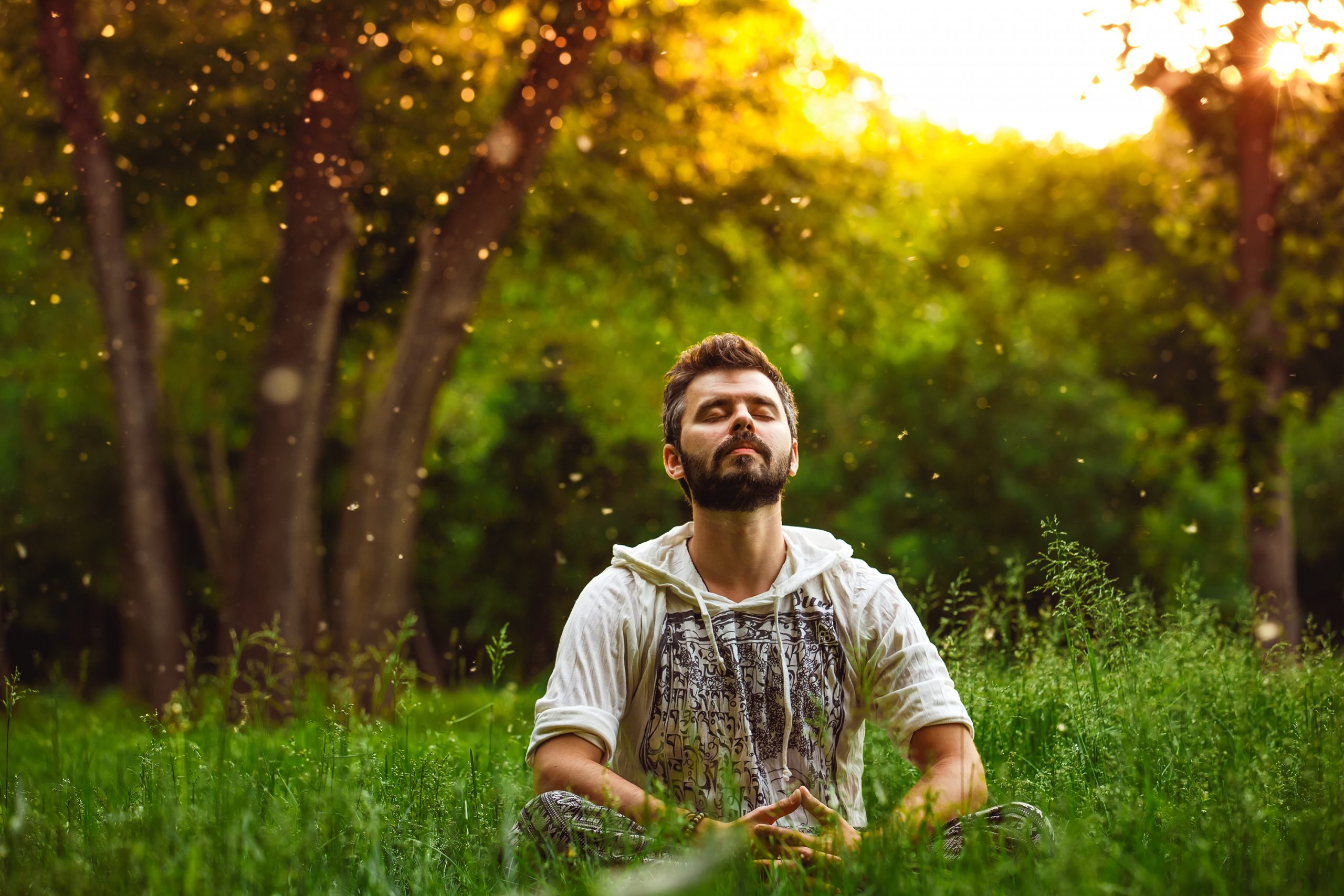 A man sits cross-legged in a sunlit field, eyes closed, surrounded by greenery and floating particles of light.