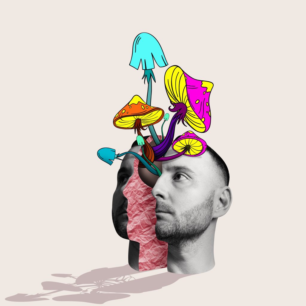 A man's head with colorful mushrooms and jellyfish emerging from it, set against a light background.
