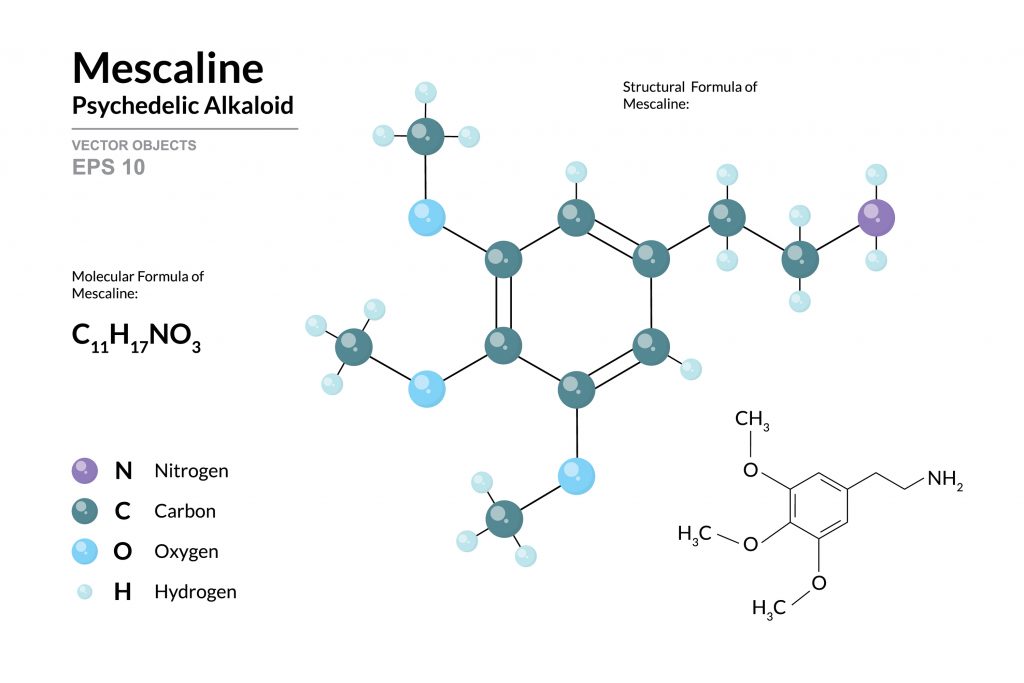 Molecular and structural formulas of mescaline, highlighting nitrogen, carbon, oxygen, and hydrogen atoms in a colorful di...