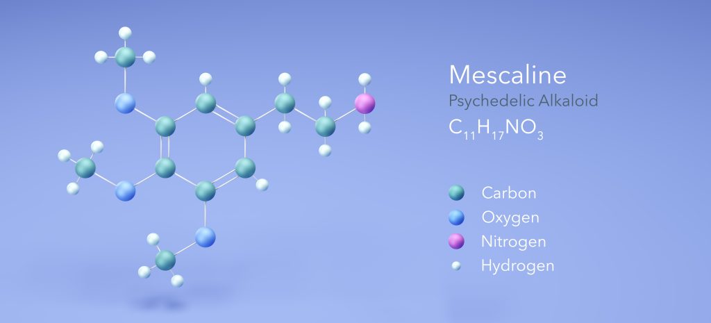 3D molecular structure of mescaline, highlighting carbon, oxygen, nitrogen, and hydrogen atoms against a light blue backgr...