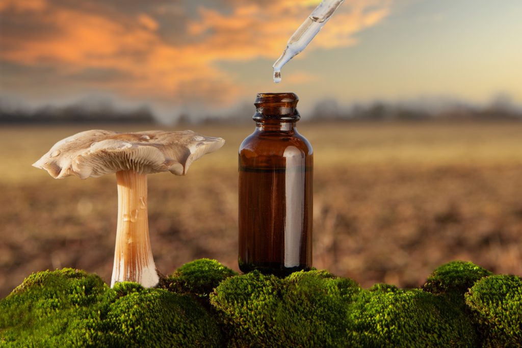 Mushroom beside a brown glass bottle with a dropper, set against a blurred sunset landscape.