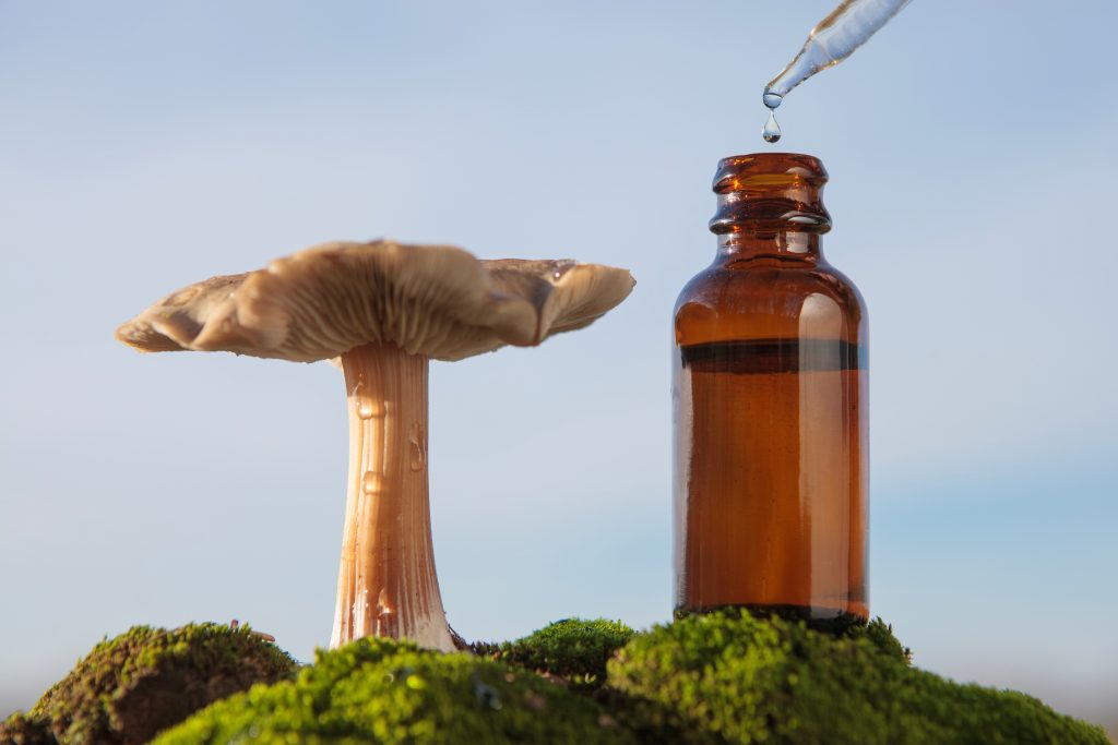 A mushroom beside a dropper bottle, with a droplet poised to fall, set against a blue sky and green moss.