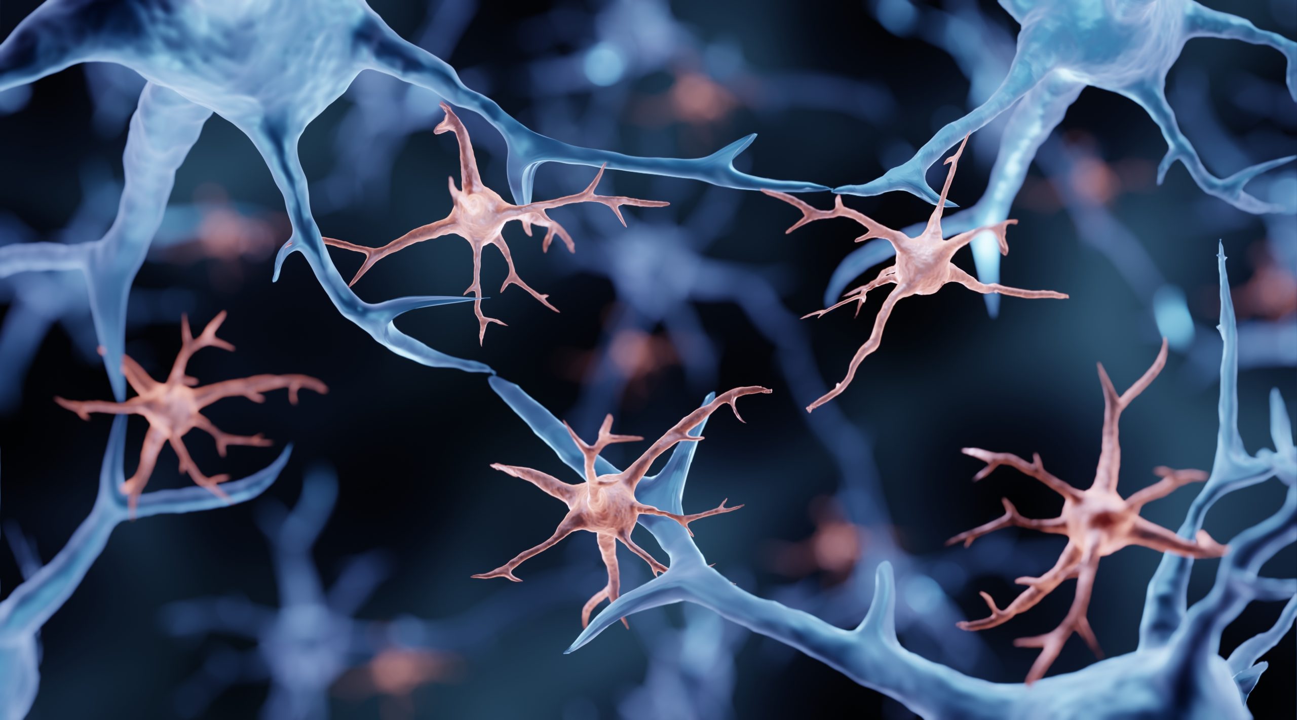 Neurons with branching dendrites and axons against a blurred blue background, representing neural connections.