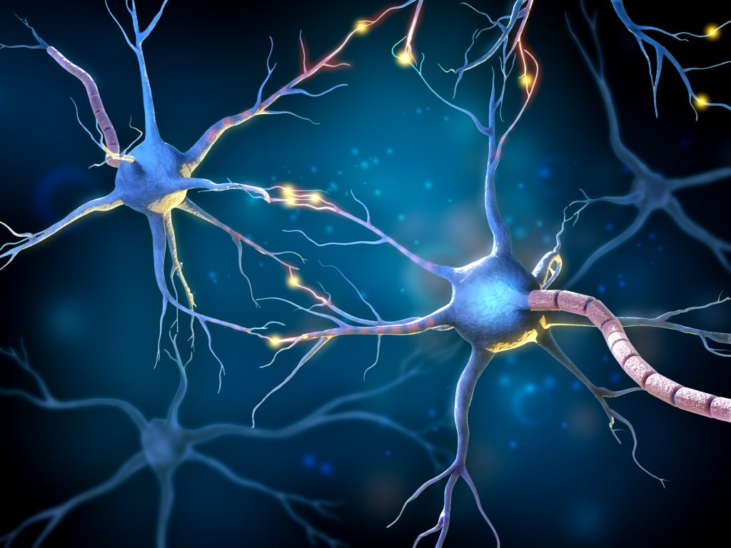 Neurons with glowing connections, showcasing synapses and intricate dendrites against a dark blue background.