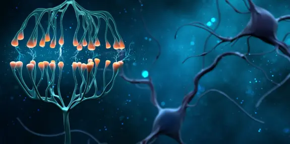 Neurons with glowing synapses against a blue, abstract background, illustrating neural connections and communication.
