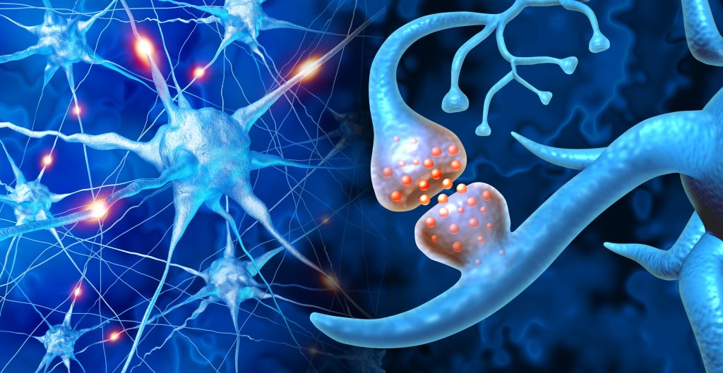Neurons with glowing synapses and intricate connections against a blue background, illustrating neural communication.