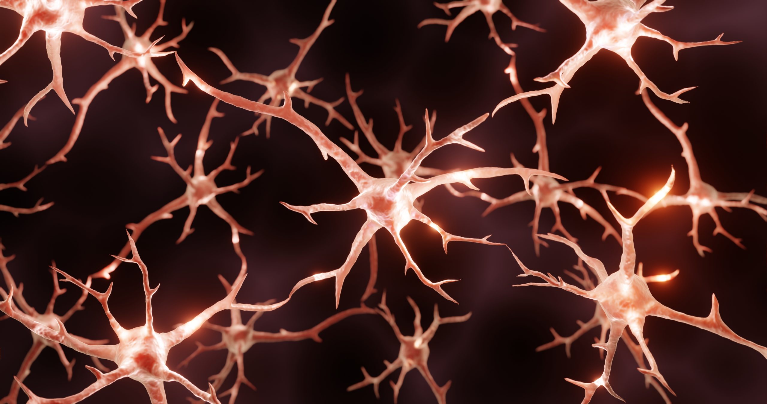 Neurons with intricate branching structures glowing against a dark background, representing neural connections.
