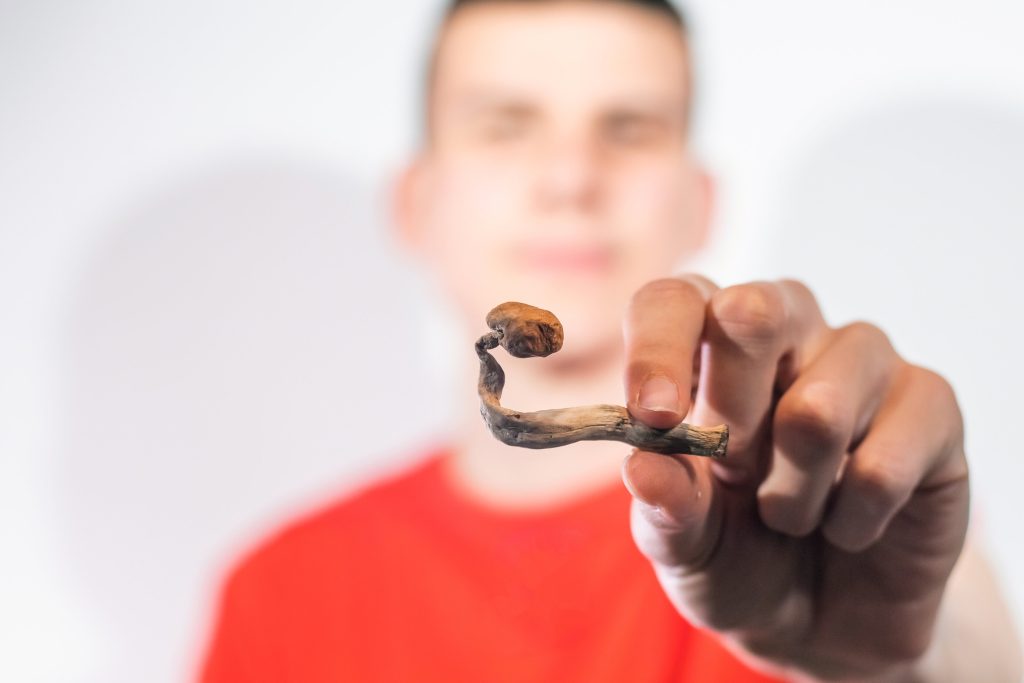 A person in a red shirt holds a small, twisted mushroom close to the camera, with a blurred background.
