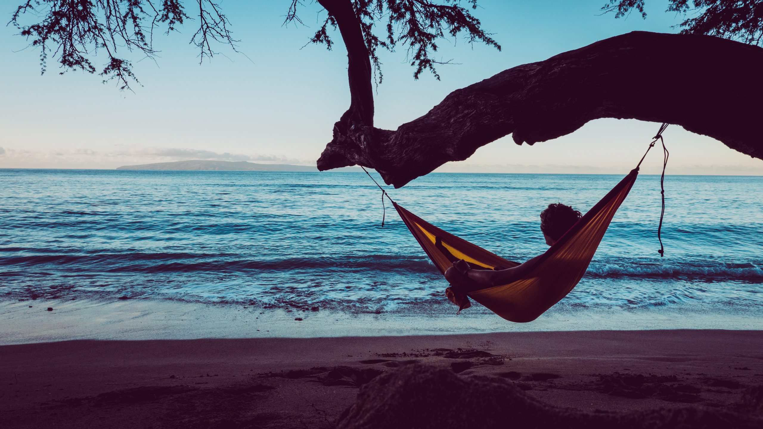 A person relaxes in a hammock strung between a tree over a tranquil beach, with calm waves and distant islands.