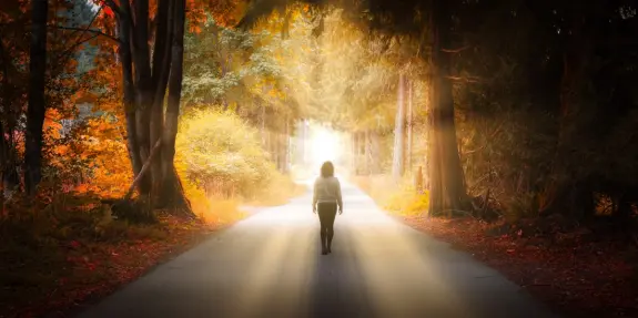 A person walks down a sunlit path surrounded by vibrant autumn foliage and tall trees.
