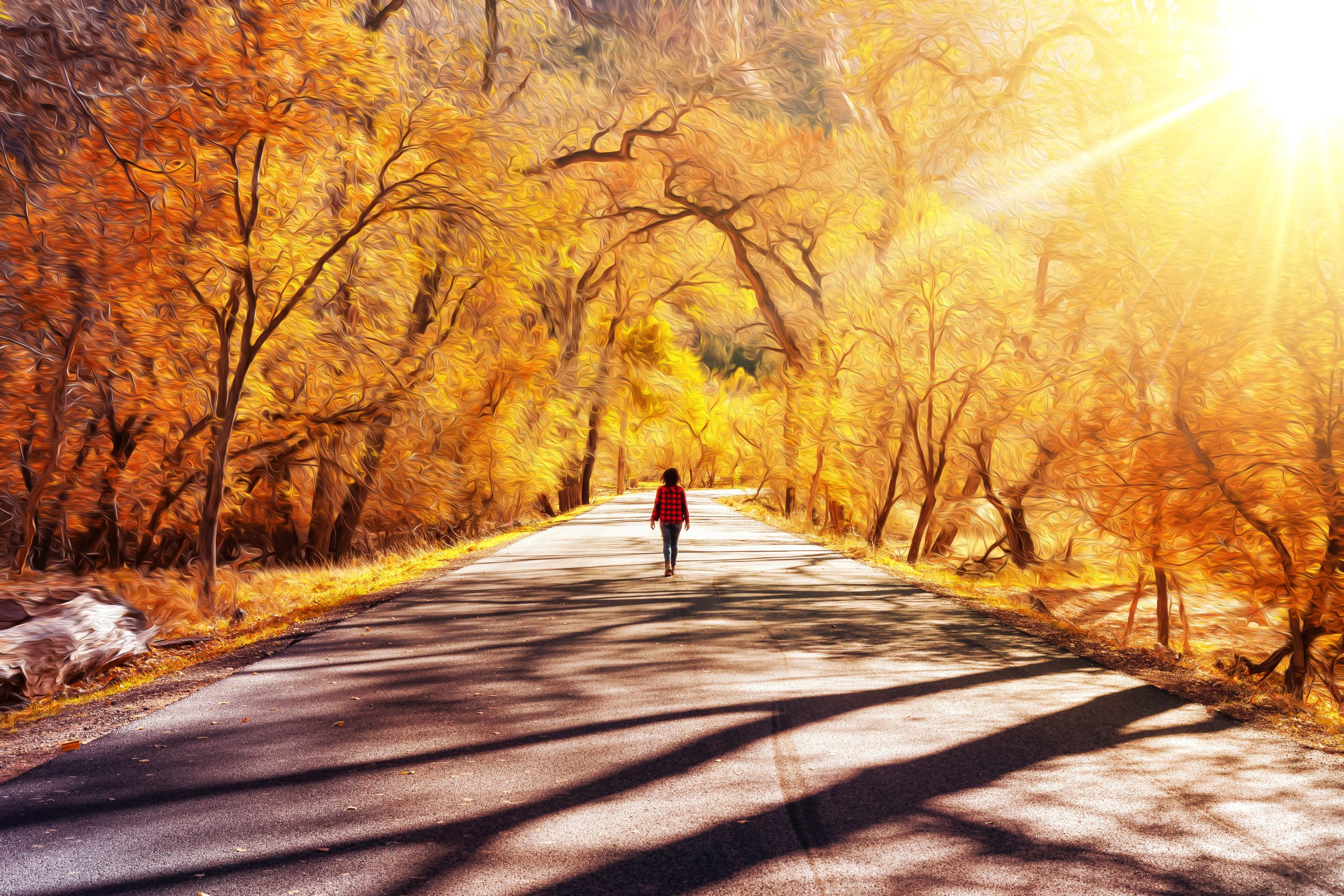 A person walks down a sunlit road surrounded by vibrant autumn trees, casting long shadows on the pavement.