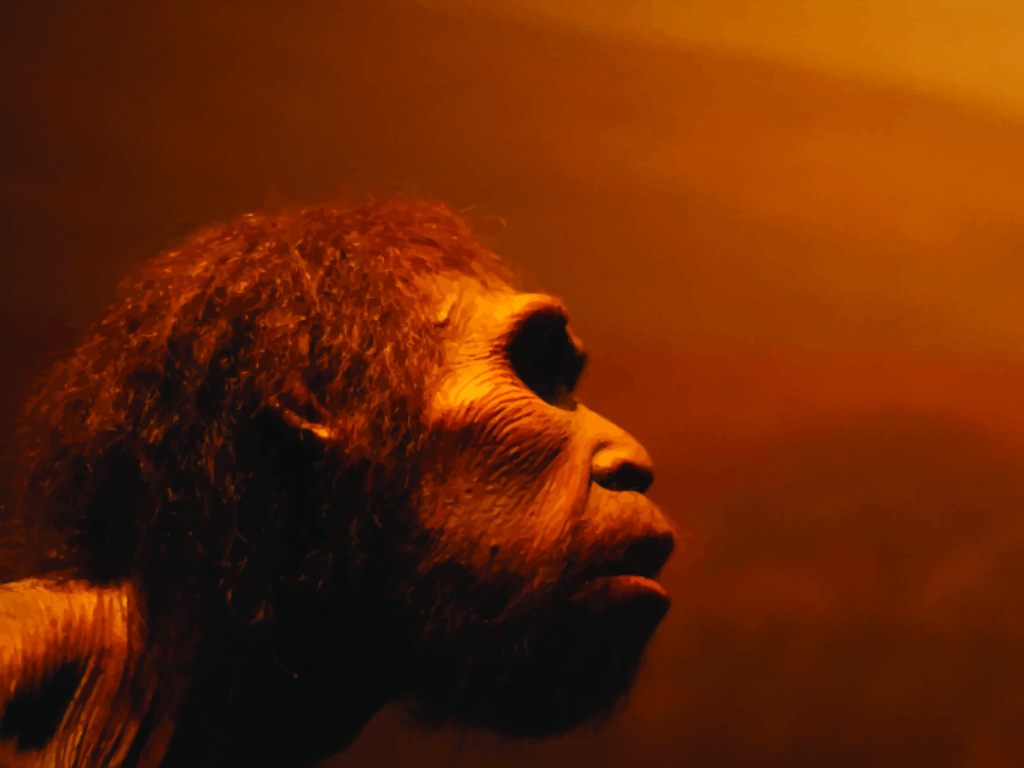 Profile of a Neanderthal with rugged features, set against a warm, orange background.
