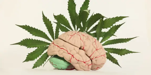 A realistic brain model surrounded by green cannabis leaves, symbolizing the intersection of neuroscience and cannabis.