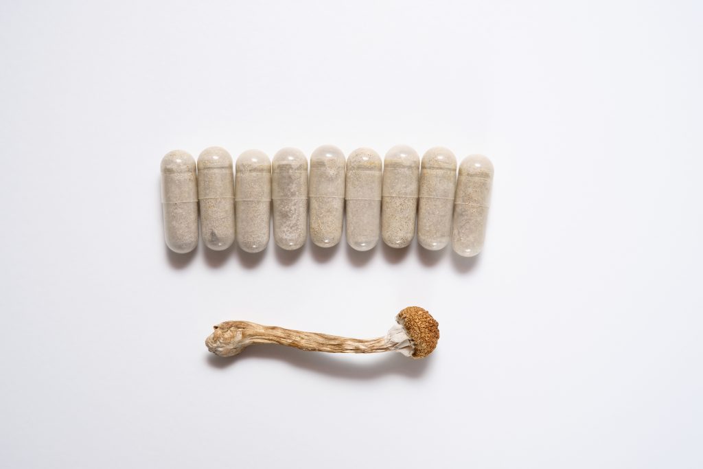 A row of clear capsules beside a dried psilocybin mushroom on a white background.