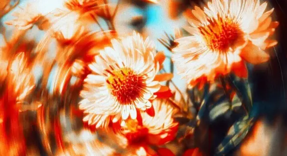 rsz_2rsz_11egor-litvinov-swrz_xhikxw-unsplash