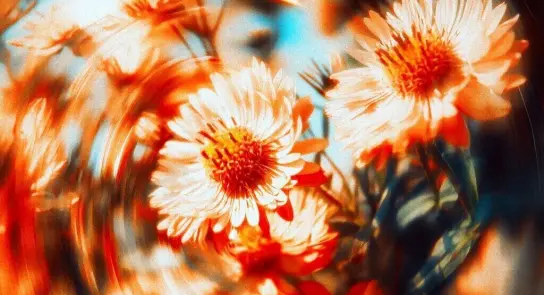 rsz_2rsz_11egor-litvinov-swrz_xhikxw-unsplash