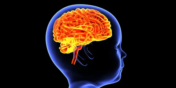 Side profile of a child's head with a glowing, colorful brain illustration highlighting neural connections.