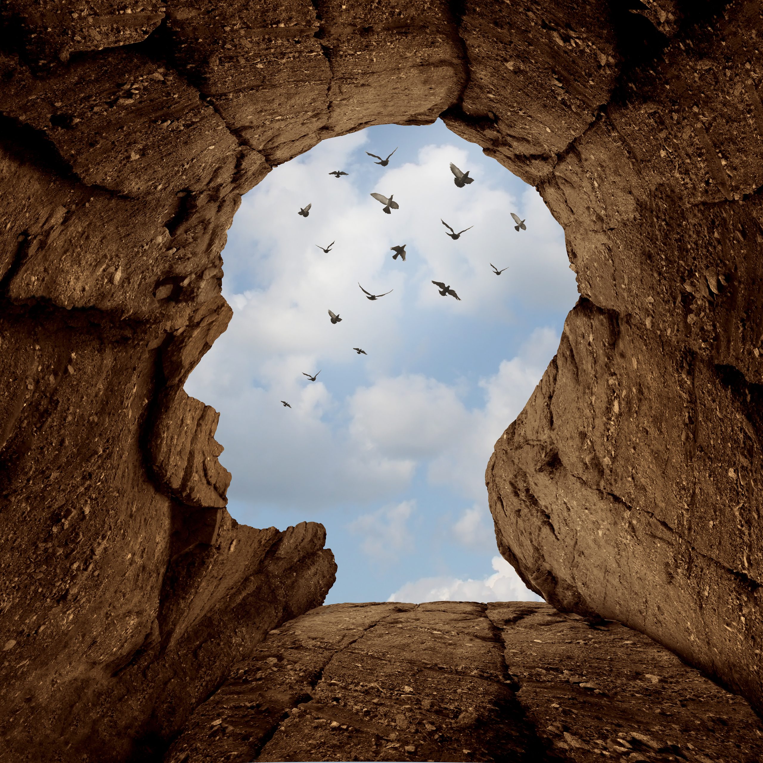 Silhouette of a human head carved in rock, with birds flying against a blue sky in the background.