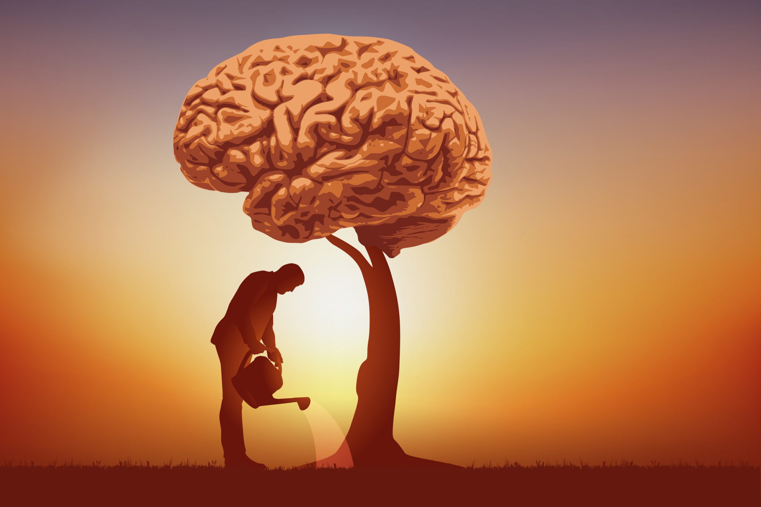 Silhouette of a man nurturing a small plant beneath a large brain-shaped tree at sunset.