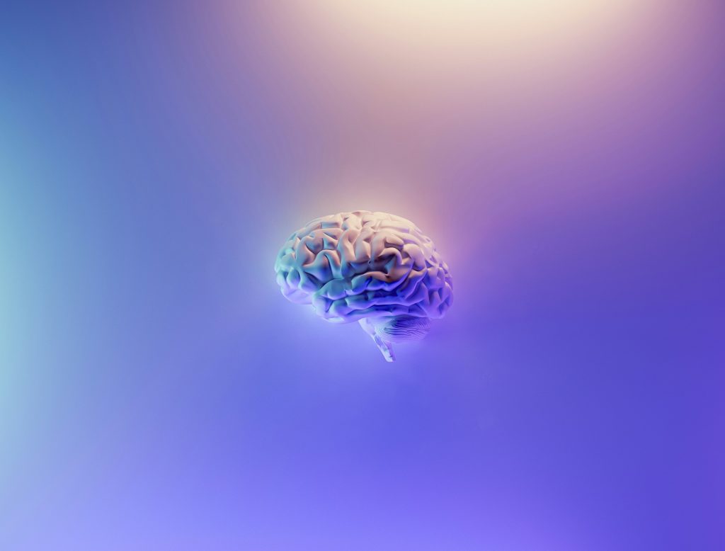 A stylized human brain floats against a gradient purple and blue background, highlighting its intricate folds.