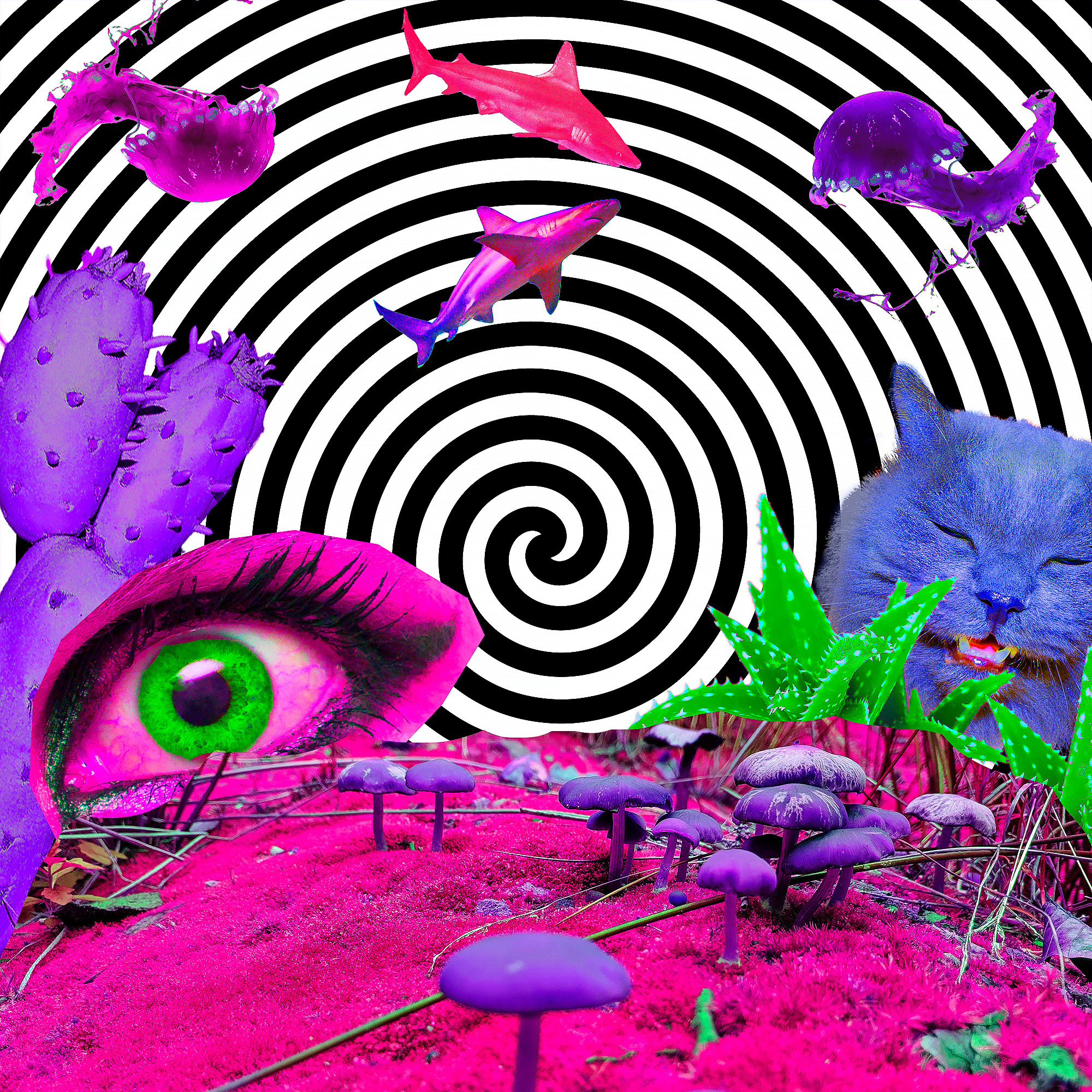 Surreal scene with a vibrant purple cat, swirling black-and-white background, sharks, cacti, and colorful mushrooms.