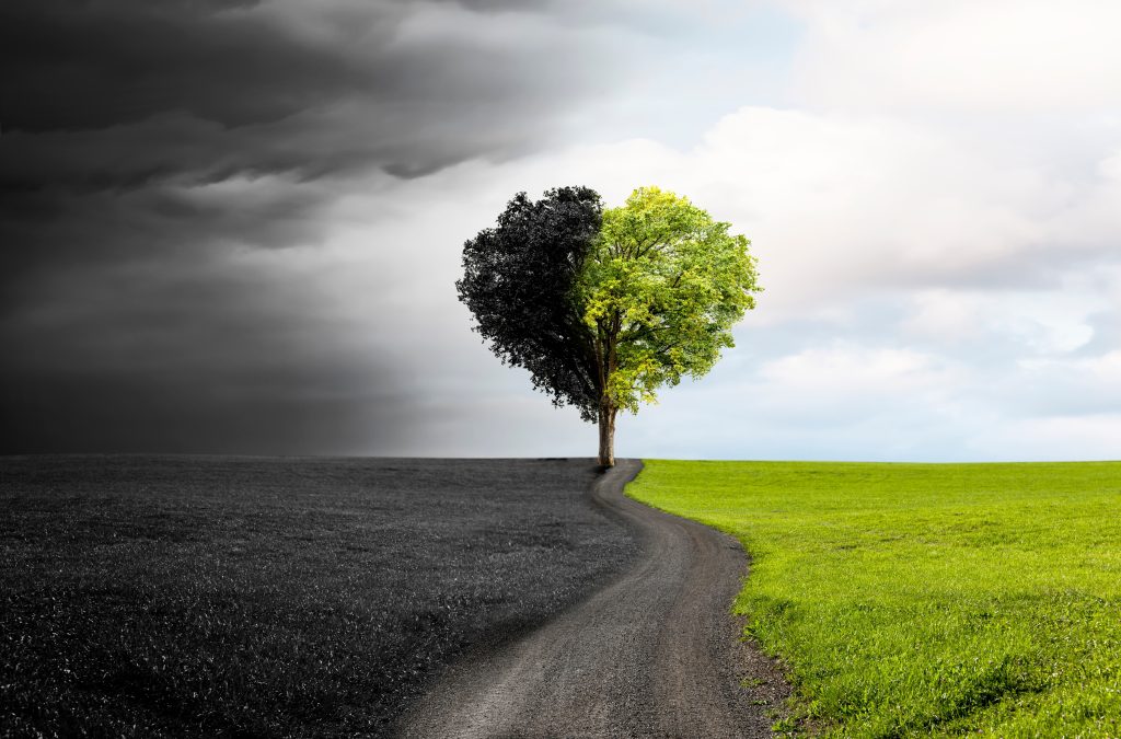 A tree split in half: one side lush and green, the other dark and barren, set against a contrasting sky.