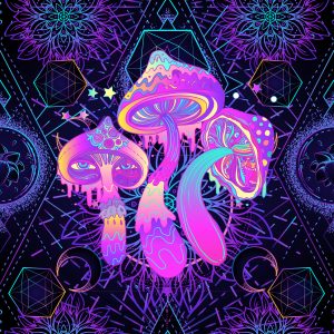Vibrant, psychedelic mushrooms with colorful patterns against a dark, geometric background.