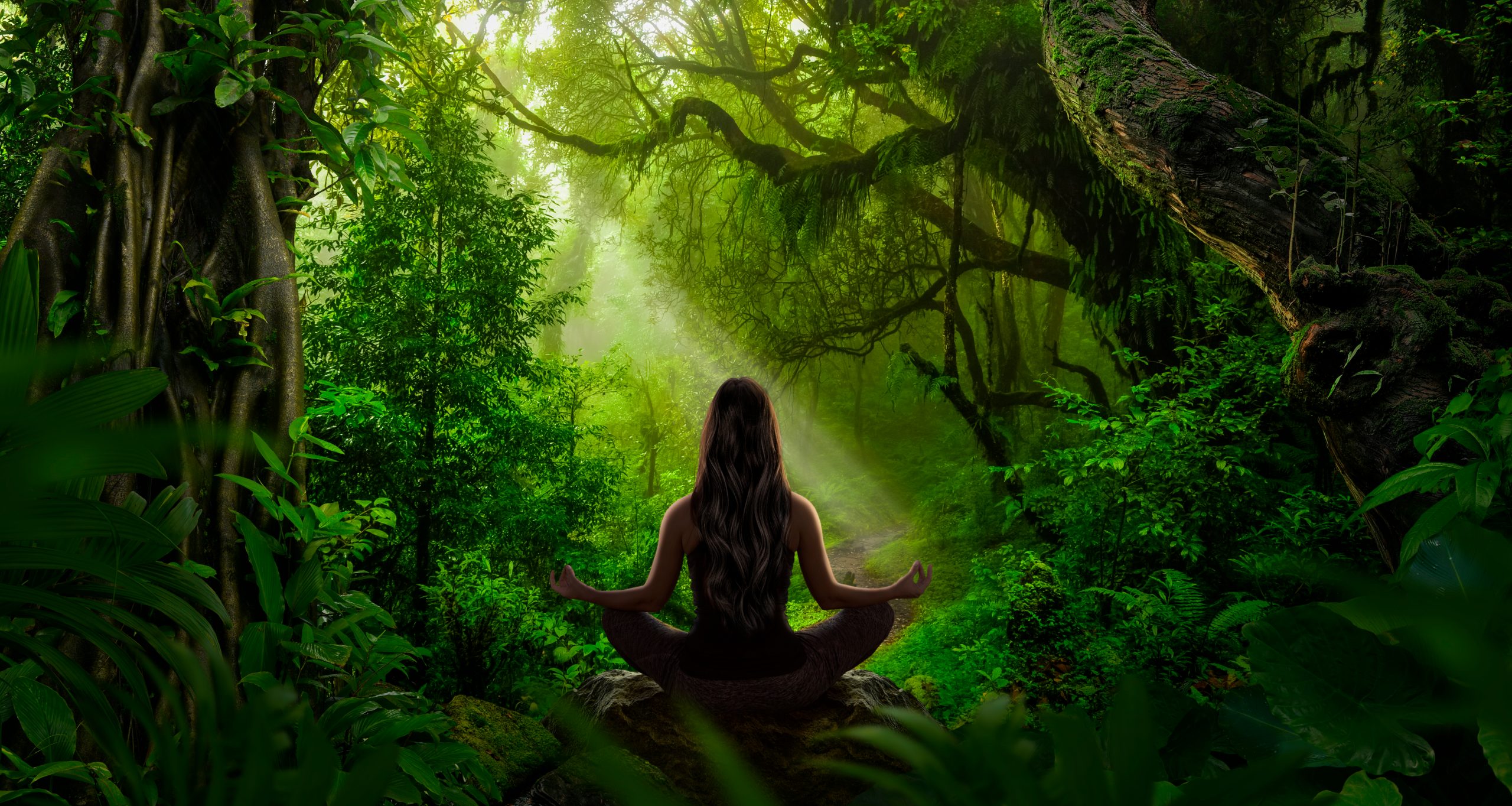 A woman meditates in a lush, green forest, surrounded by dense foliage and soft rays of sunlight filtering through trees.