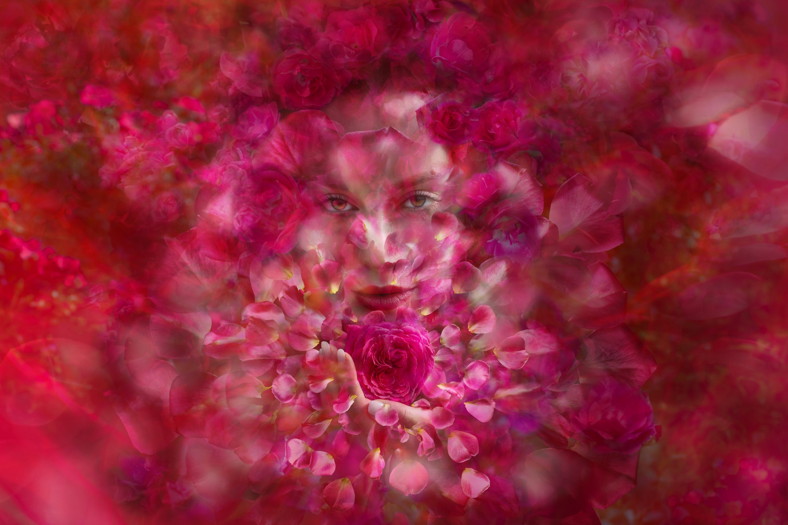 A woman's face emerges from a vibrant swirl of pink roses and petals, creating a dreamlike, floral portrait.