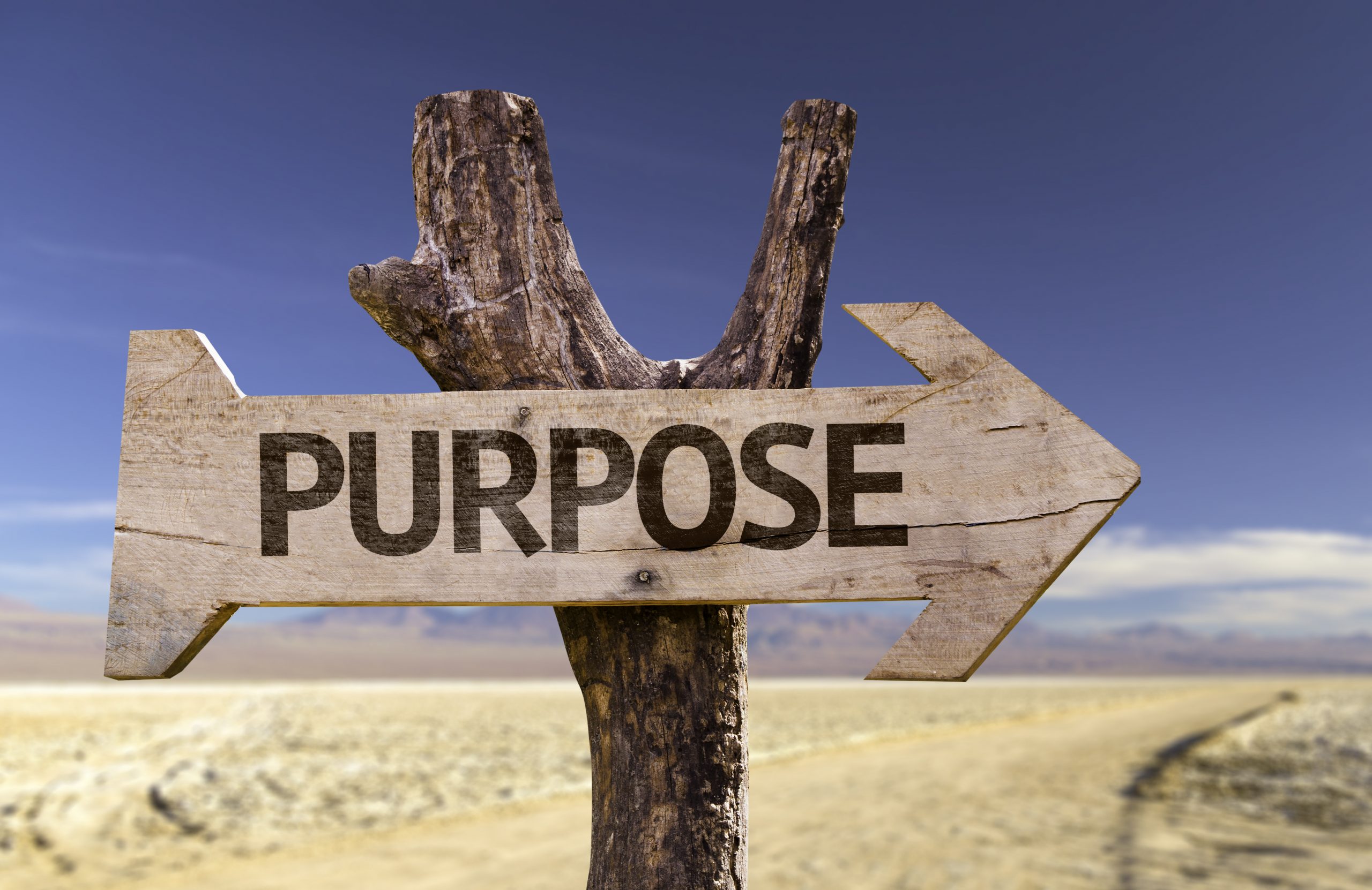 Wooden signpost pointing right with the word "PURPOSE" against a clear blue sky and barren landscape.